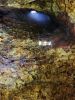 PICTURES/Inside the Volcan Tour/t_Bucket5.jpg